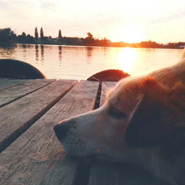 Sleepy Soothing Water Waves