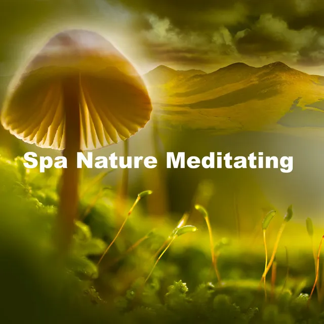 Spa Nature Meditating