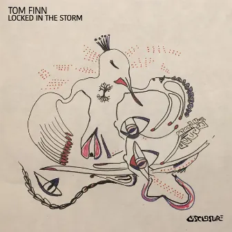 Locked In The Storm by Tom Finn