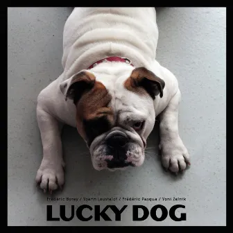 Lucky Dog by Frederic Borey