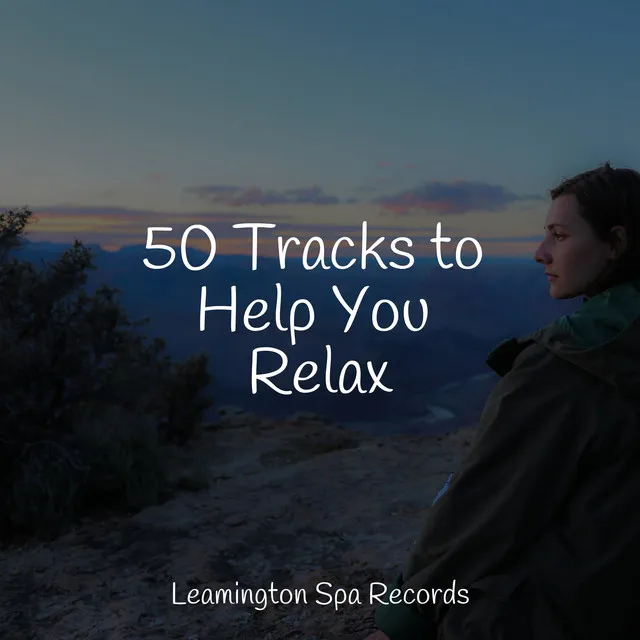 50 Tracks to Help You Relax