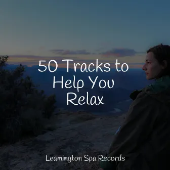 50 Tracks to Help You Relax by Zen