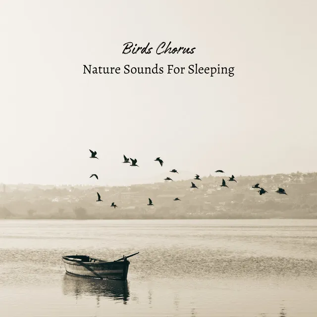 Nature Sounds For Sleeping