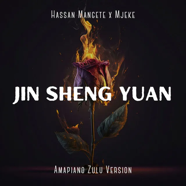 Jin Sheng Yuan - Amapiano Zulu Version