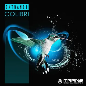 Colibri by ENtrance