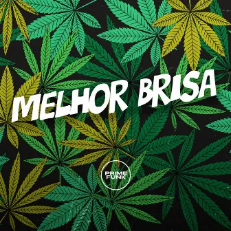 Melhor Brisa by Dj R15