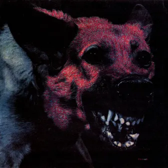 Under Color of Official Right by Protomartyr