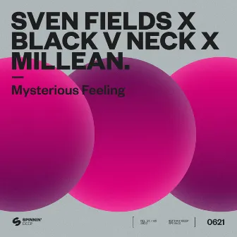 Mysterious Feeling (Extended Mix) by Sven Fields