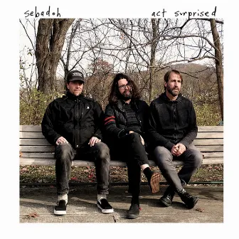 act surprised by Sebadoh