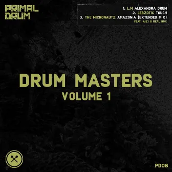 Drum Masters, Vol. 1 by Lebzotic