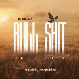 Bull Shit (Cover) by Khadar