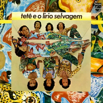 Tetê E O Lírio Selvagem by Tetê Espíndola