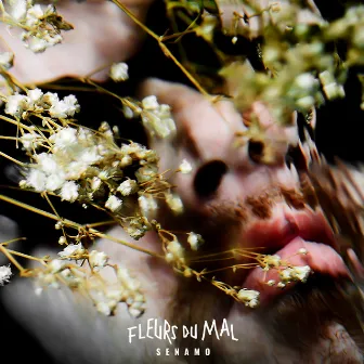 Fleurs du mal by Senamo