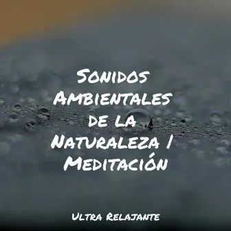 Sonidos Ambientales de la Naturaleza | Meditación by Musica Para Relajarse