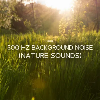 500 Hz Background Noise (Nature Sounds) - Green Noise To Sleep by Birds From Nowhere