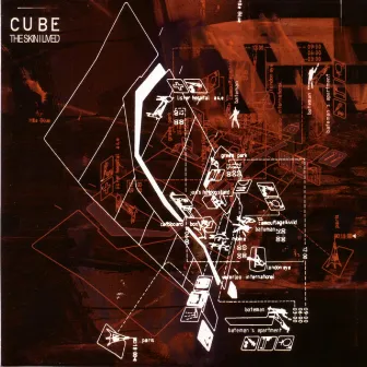 The Skin I Lived by Cube