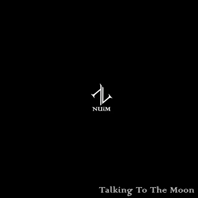 Talking To The Moon