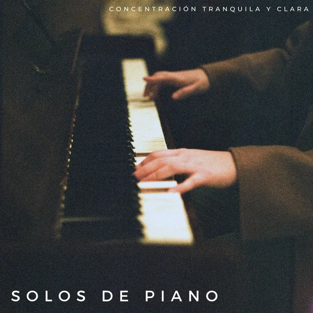 Solos De Piano: Concentración Tranquila Y Clara