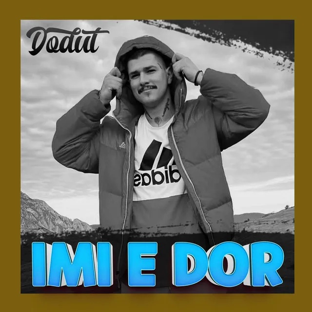 Imi e dor