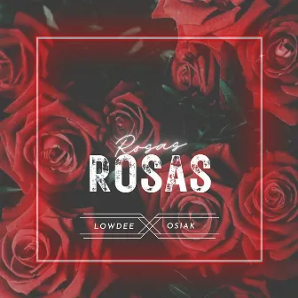 Rosas by Unknown Artist