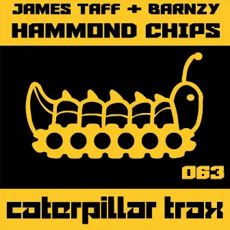 Hammond Chips by James Taff