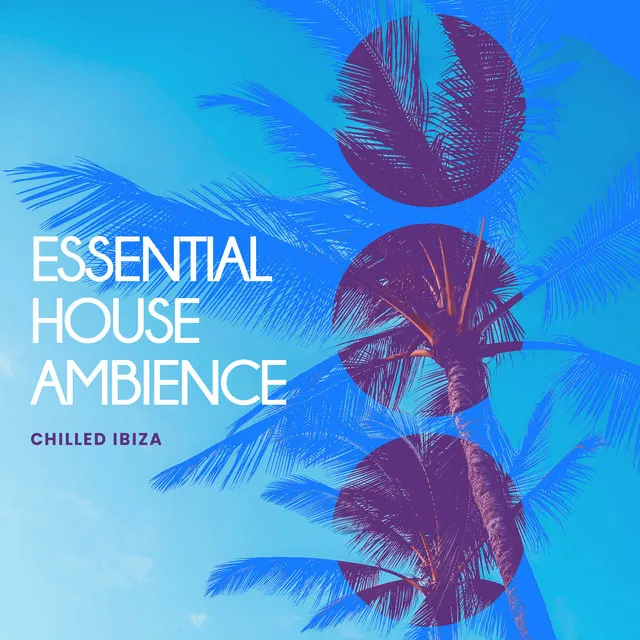 Essential House Ambience