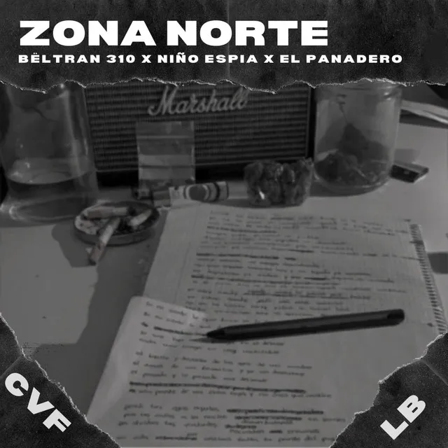 Zona norte