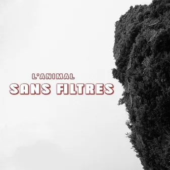 Sans filtres by Clinical Records