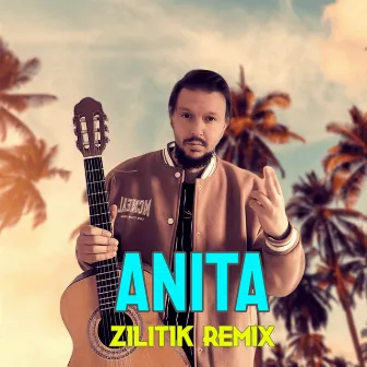 Anita (Zilitik Remix) by Pimp Schwab