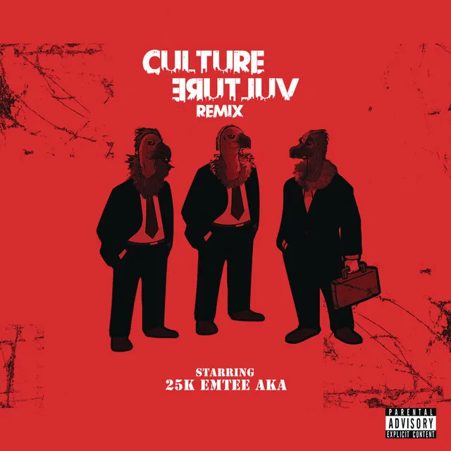 Culture Vulture (Remix) (feat. AKA & Emtee)