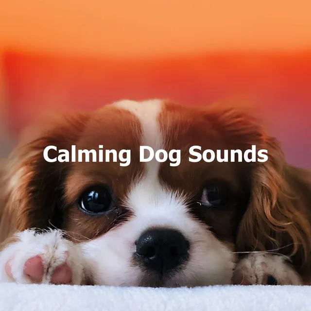 Calming Dog Sounds