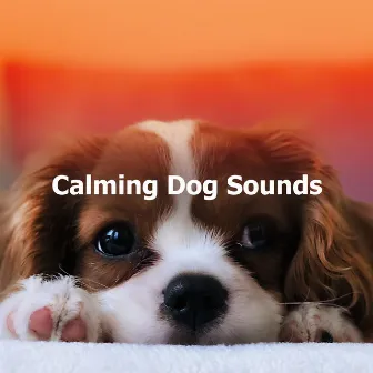 Calming Dog Sounds by Dog Sounds