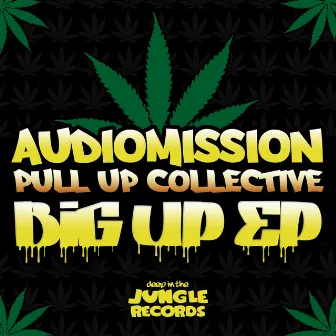 Big Up by Audiomission