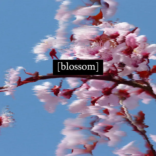 blossom