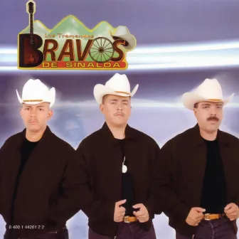 Los Tremendos by Los Bravos De Sinaloa