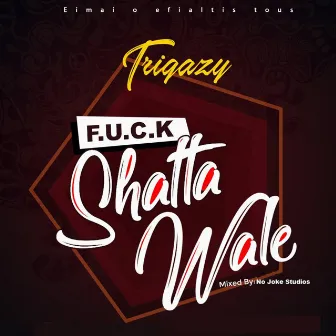 F.U.C.K Shatta Wale by Trigazy