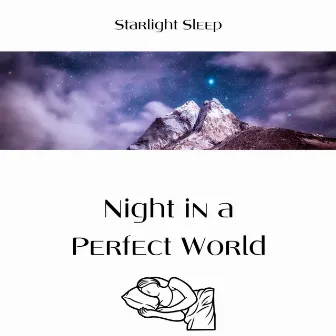 Night in a Perfect World by Starlight Sleep