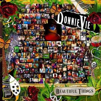 Beautiful Things by Donnie Vie