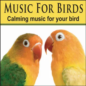 Music For Birds: Cockatoo Music, Bird Music, Parrot Music by Pet Music Artists