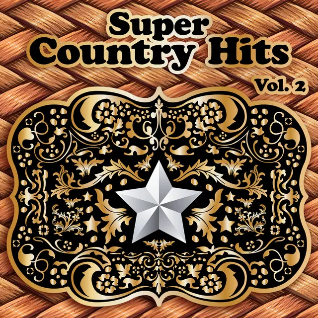 Super Country Hits, Vol. 2