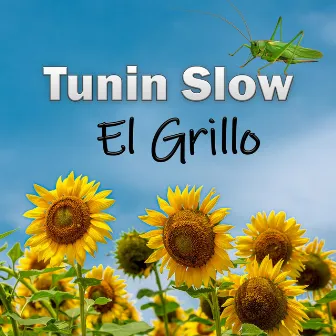 El Grillo by Tunin Slow