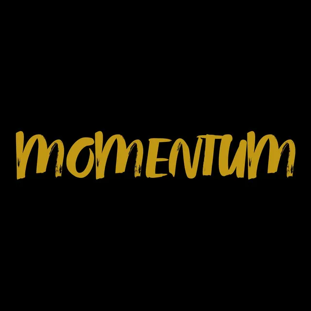 Momentum - Radio Edit