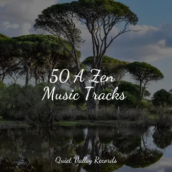 50 A Zen Music Tracks by Relaxation Music Guru