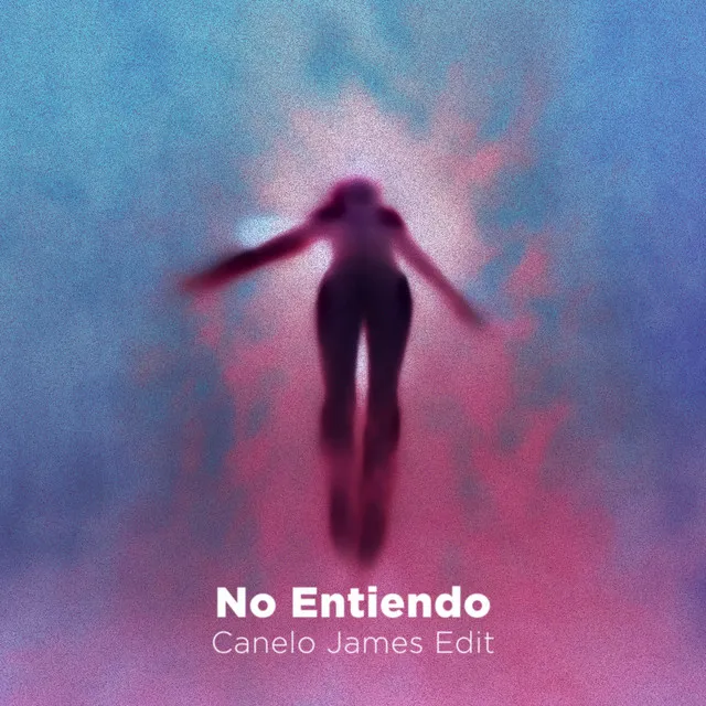 No Entiendo (Edit)