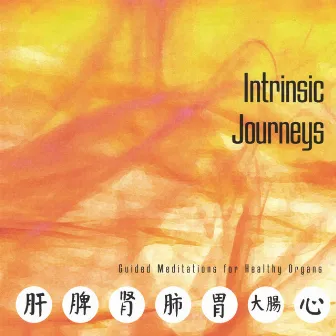 Intrinsic Journeys:Guided Meditations for Healthy Organs by Wendy Goodwin