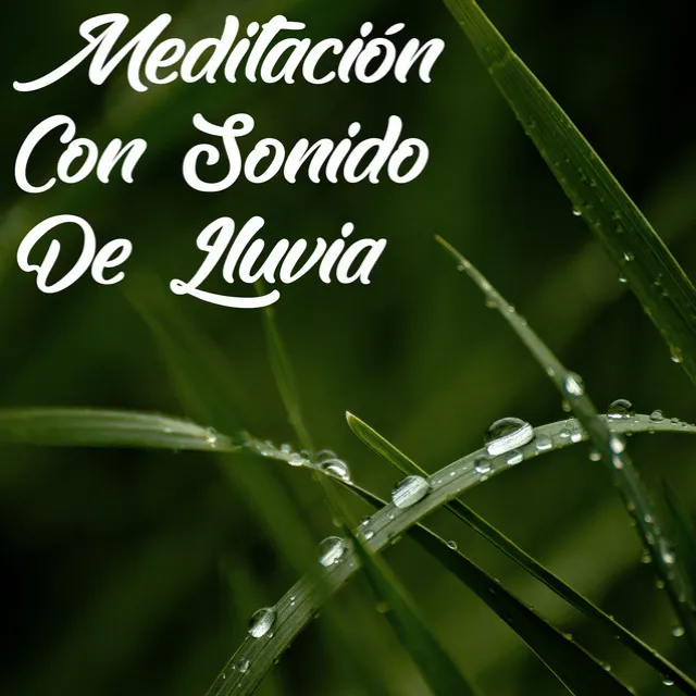 Sonidos De Lluvia: Meditación Con Sonido De Lluvia En Bucle, Sonido Relajante De Lluvia, Sonidos Ambientales Relajantes, Música De Yoga Y Masaje