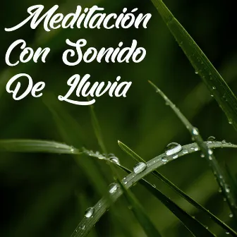 Sonidos De Lluvia: Meditación Con Sonido De Lluvia En Bucle, Sonido Relajante De Lluvia, Sonidos Ambientales Relajantes, Música De Yoga Y Masaje by Unknown Artist