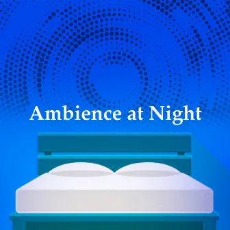 Ambience at Night by Sleep Time