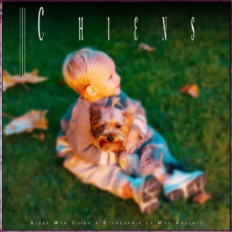 Chiens: Aider Mon Chien à S'endormir en Mon Absence by Musique pour L'anxiété des Chiens