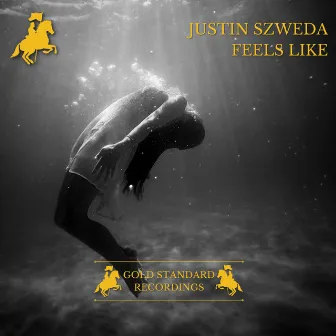 Feels Like by Justin Szweda